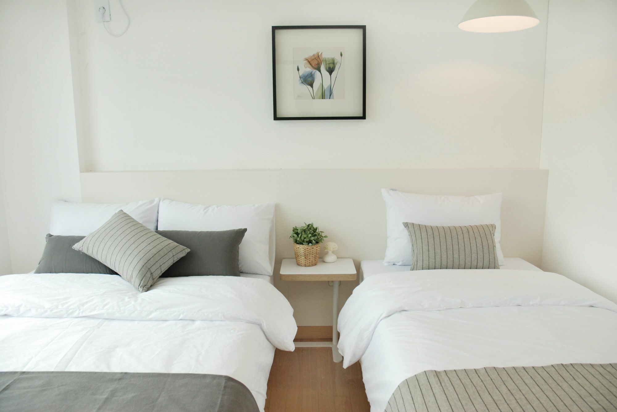 The Haus 3*